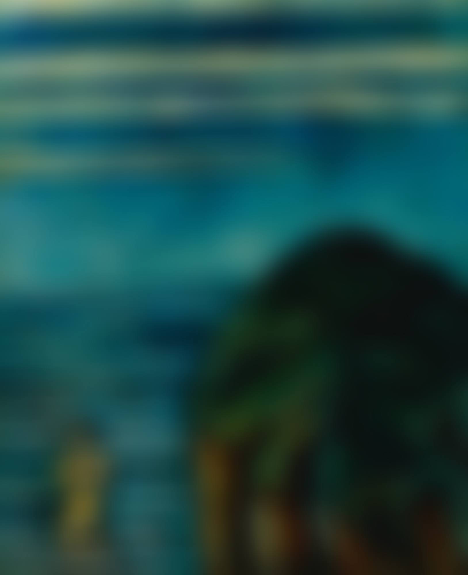 BAIGNADE MYSTÉRIEUSE (preview)