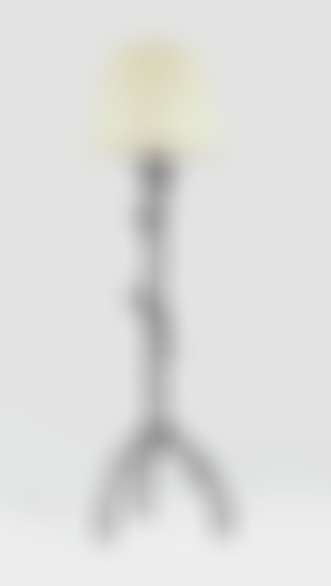 LAMPADAIRE AUX FEUILLES ET OISEAUX (preview)