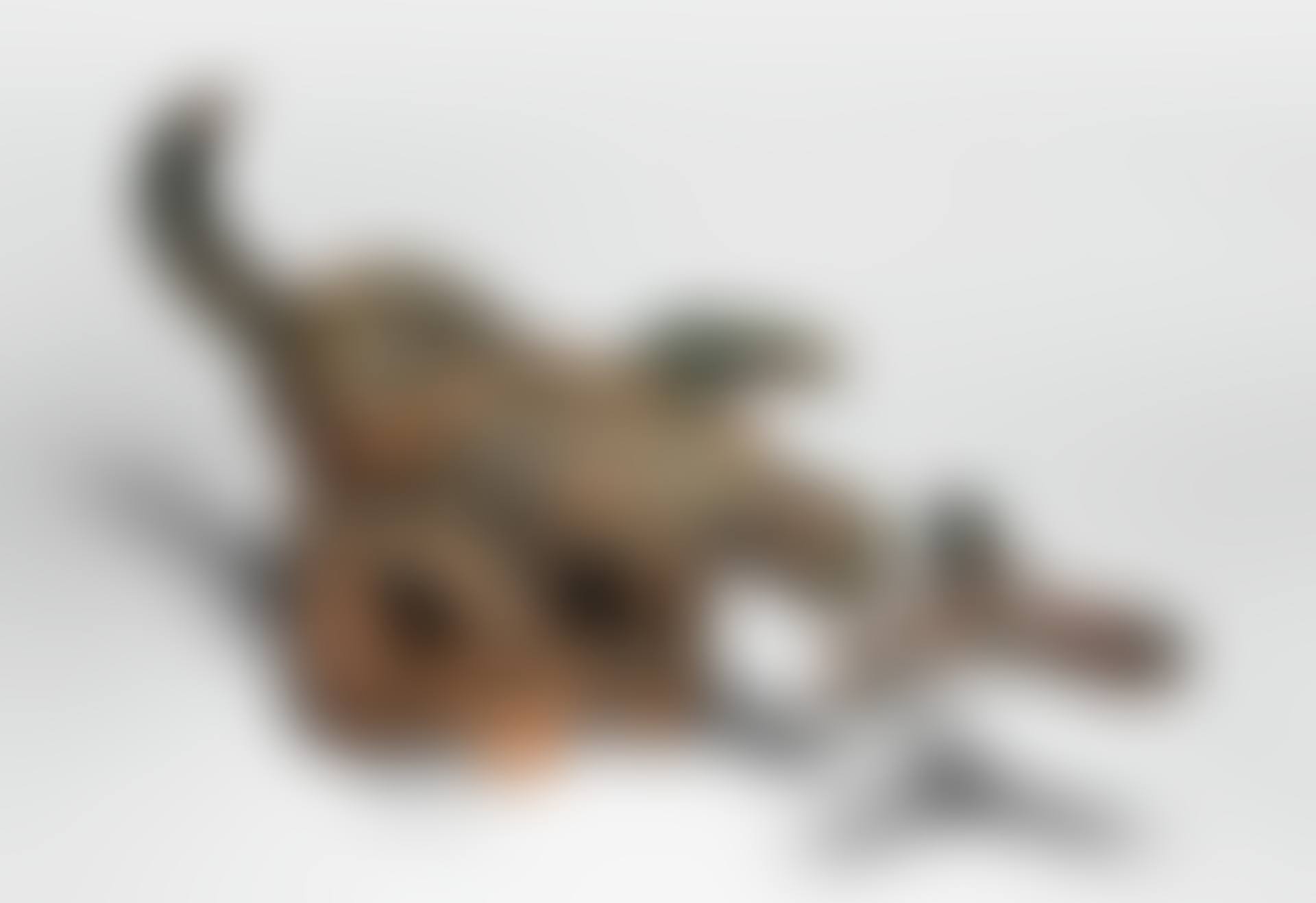 LE LÉZARD (preview)