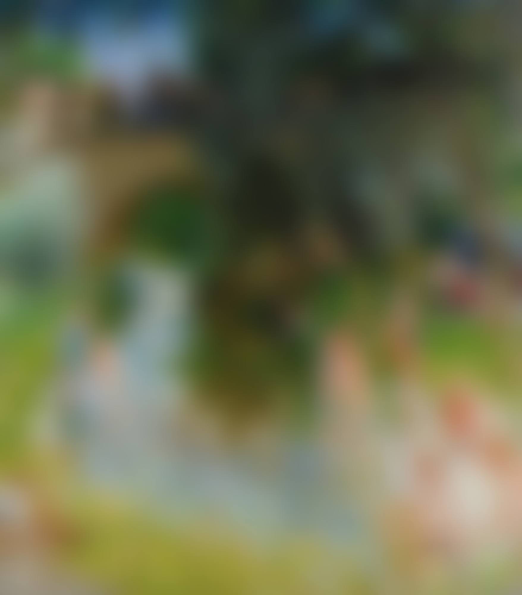 LA BAIGNADE (preview)