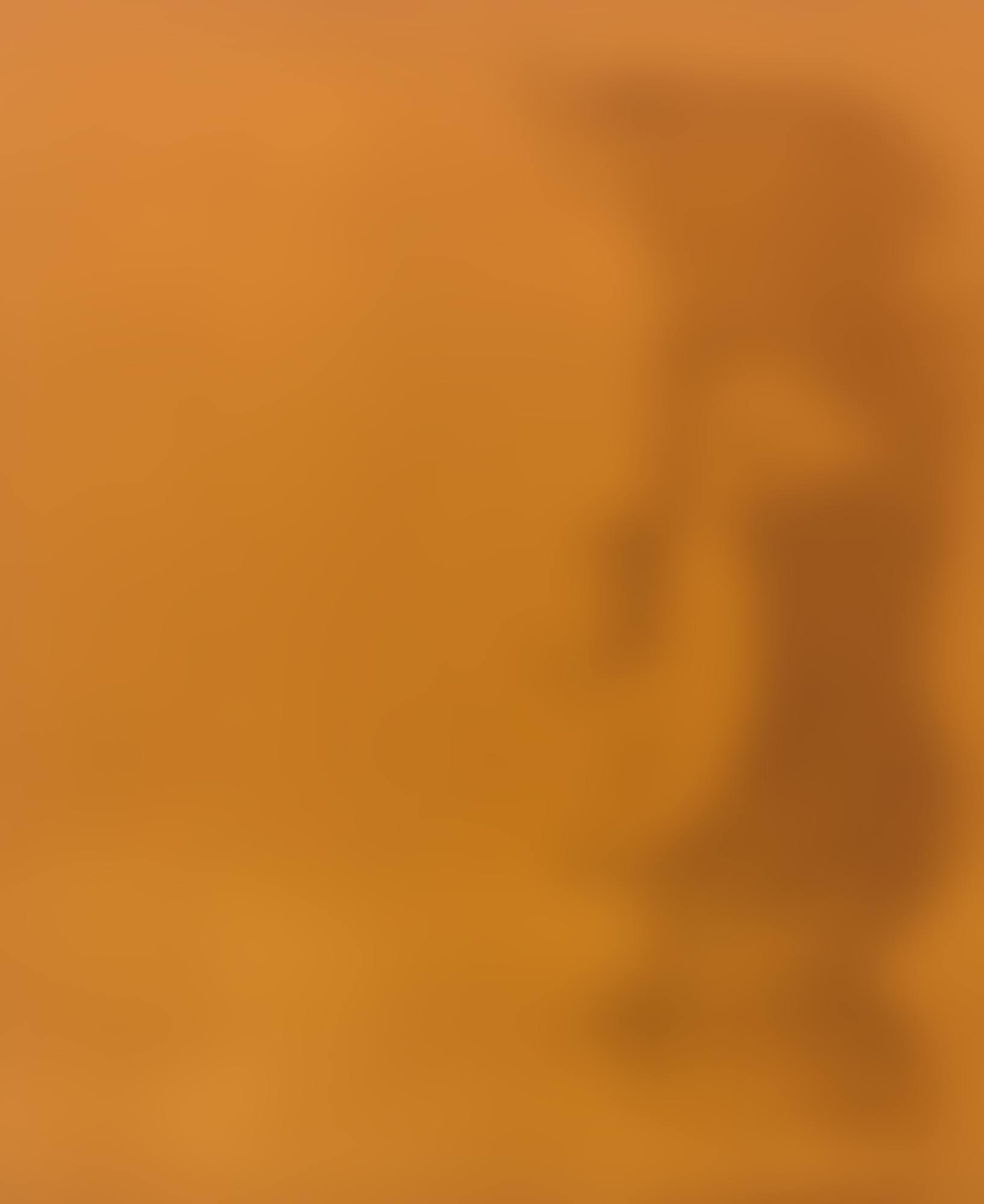 PORTRAIT DE JACQUELINE DE FACE. I (TÊTE DE FEMME) (B. 1064; BA. 1278) (preview)