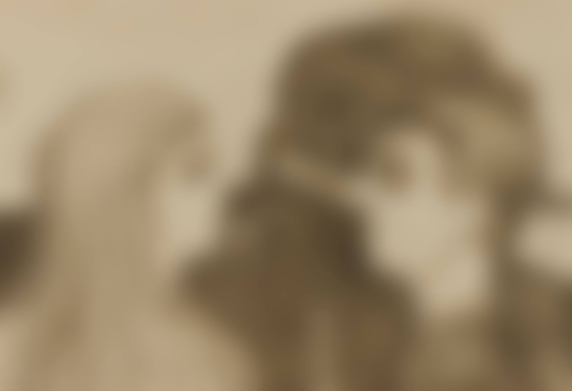 ATTRACTION II (W. 20; S. 18) (preview)