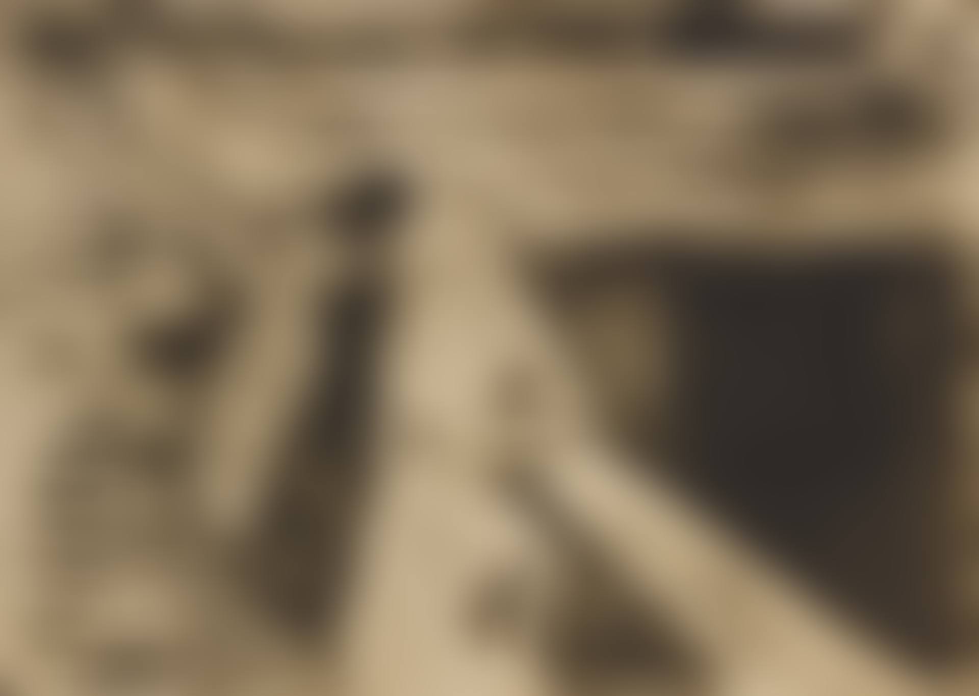 THE GIRLS ON THE BRIDGE (W. 232; S. 200) (preview)