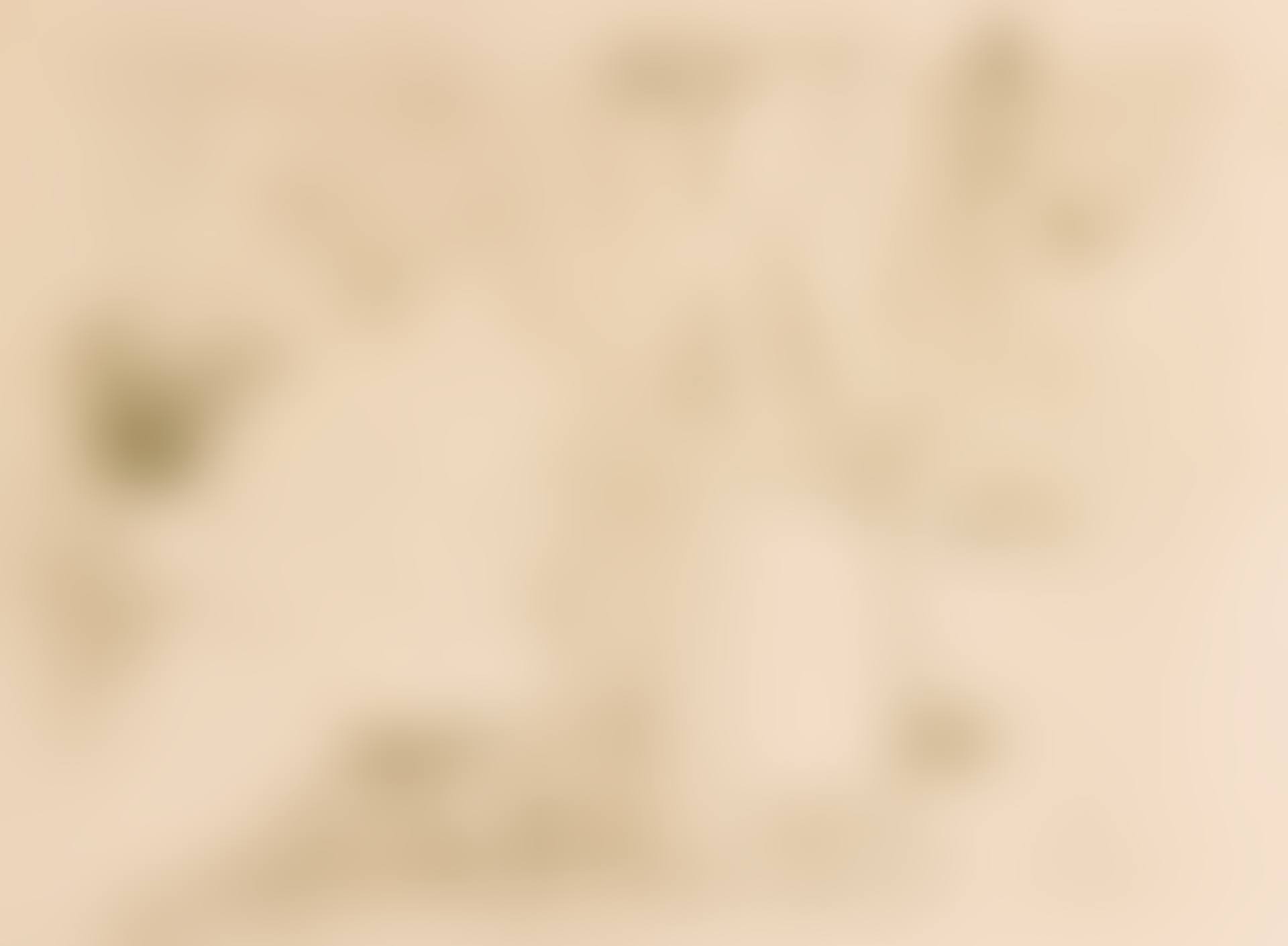 COUVERTURE DE L'ESTAMPE ORIGINALE (DELTEIL 127; ADRIANI 129; WITTROCK 96) (preview)