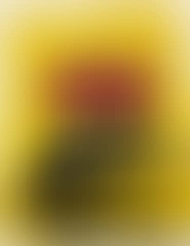 Untitled (preview)