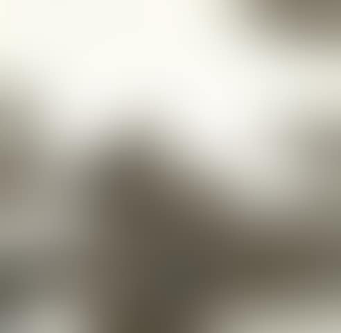 Untitled (Agerup 239) (preview)