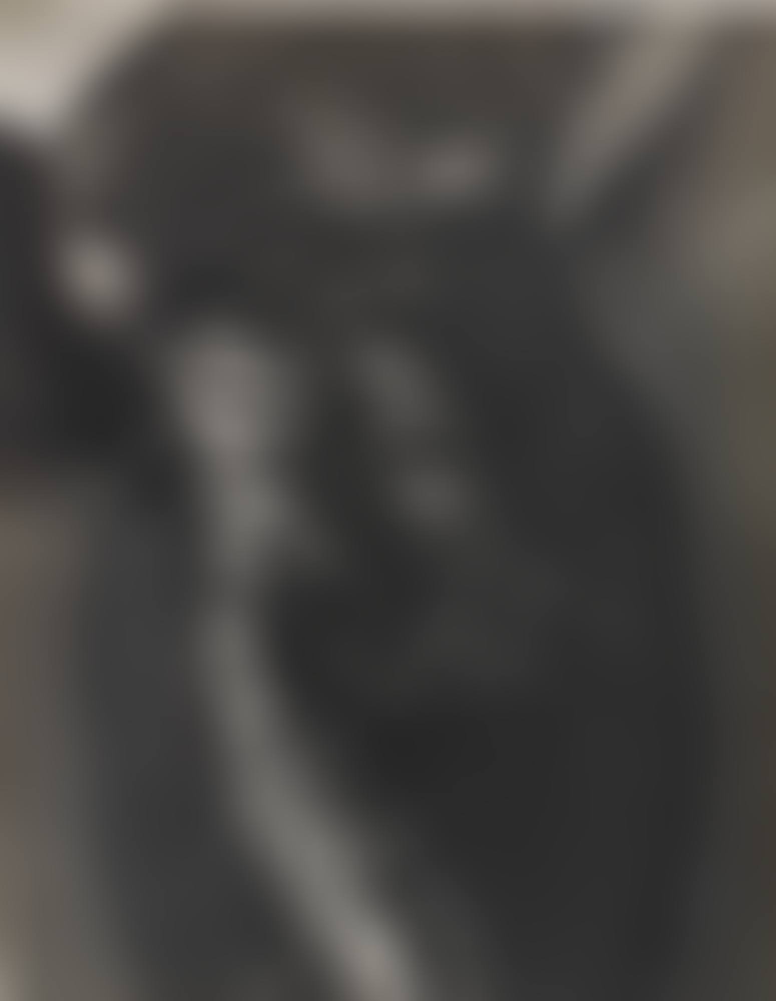 TORSO (LAMA [ SIC ] SHEATH)' (preview)