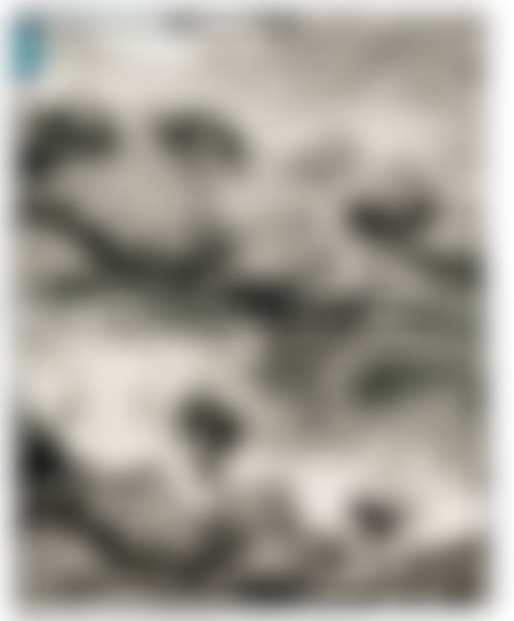 KEN HIRATSUKA CREATING DRIFTED CORAL (preview)