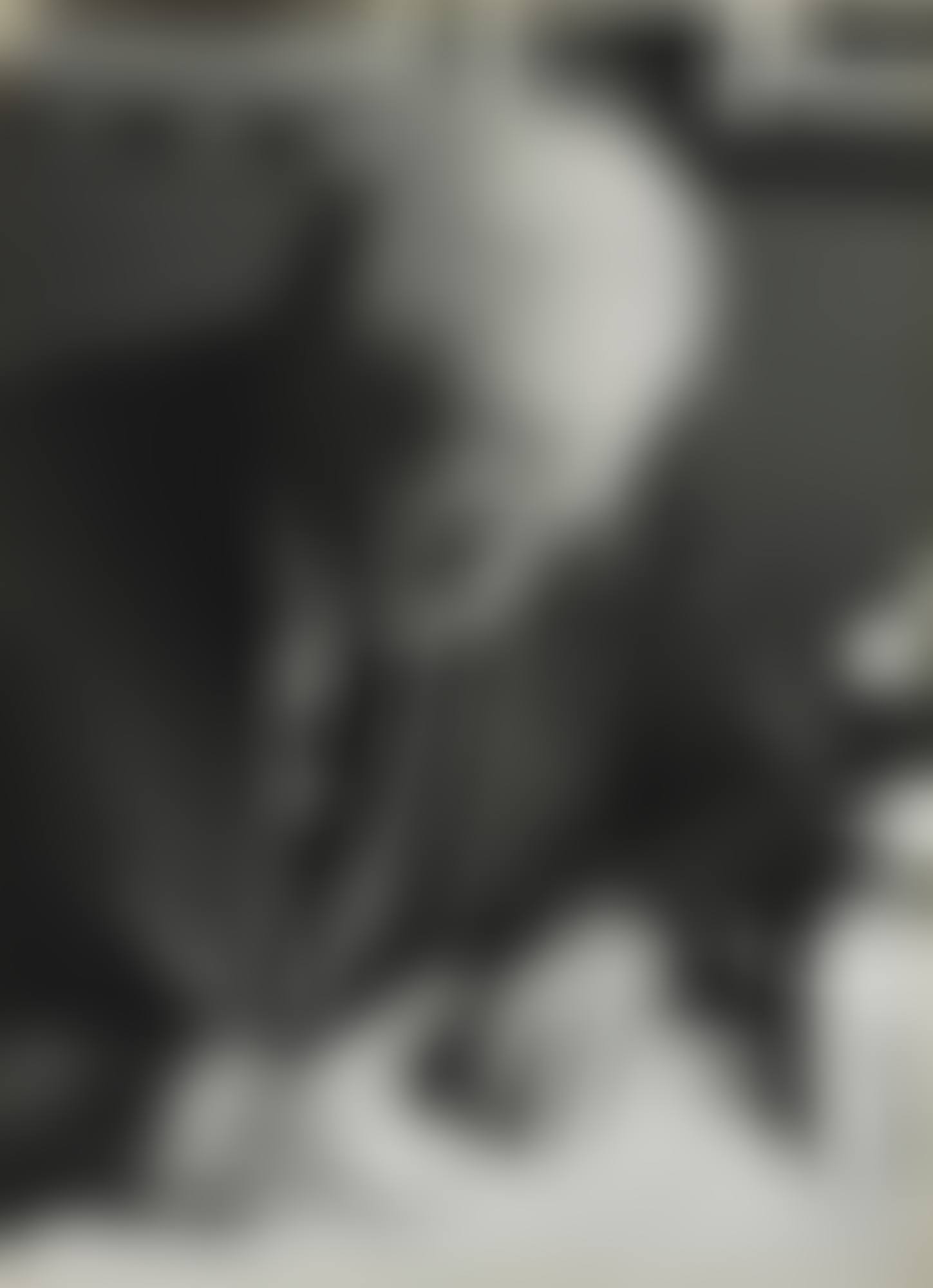PORTRAIT OF ALFRED STIEGLITZ (preview)
