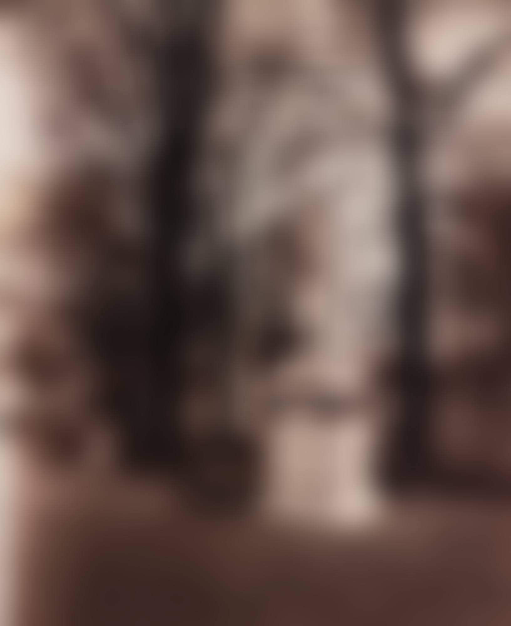 LUXEMBOURG. MATHILDE DE FLANDRES' (preview)