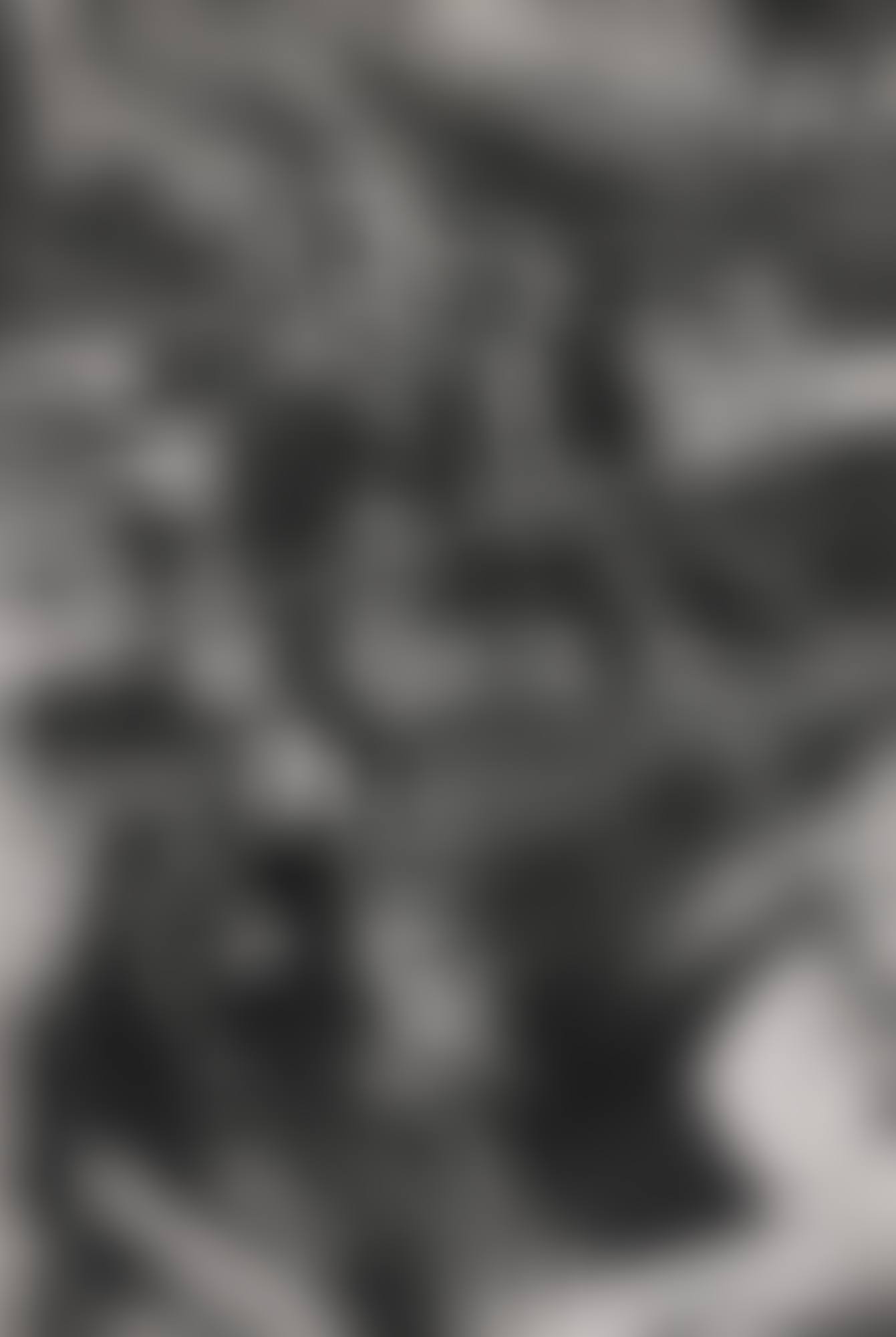 SUCHOW CREEK, SHANGHAI (preview)