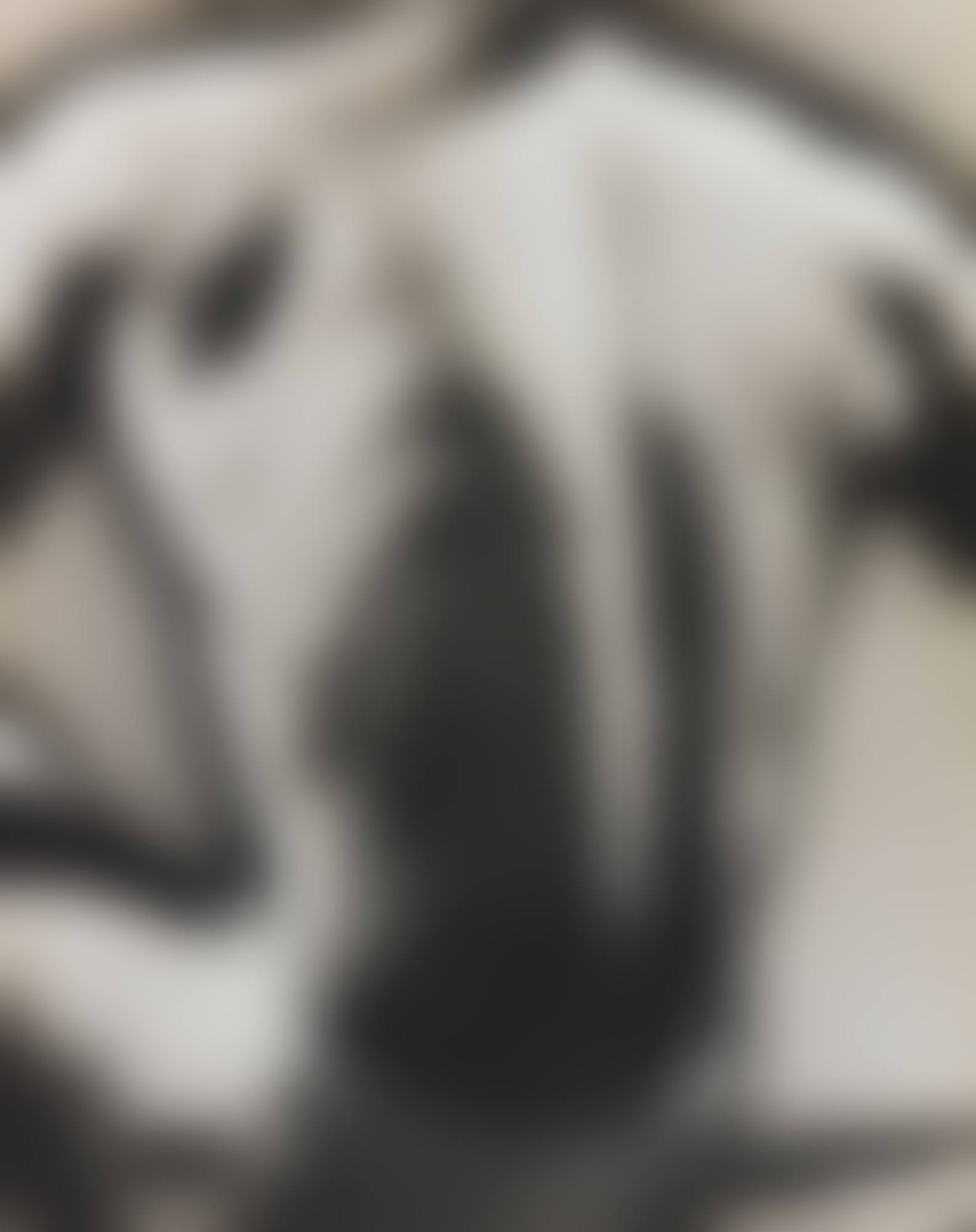 SOLARIZED MALE TORSO (preview)