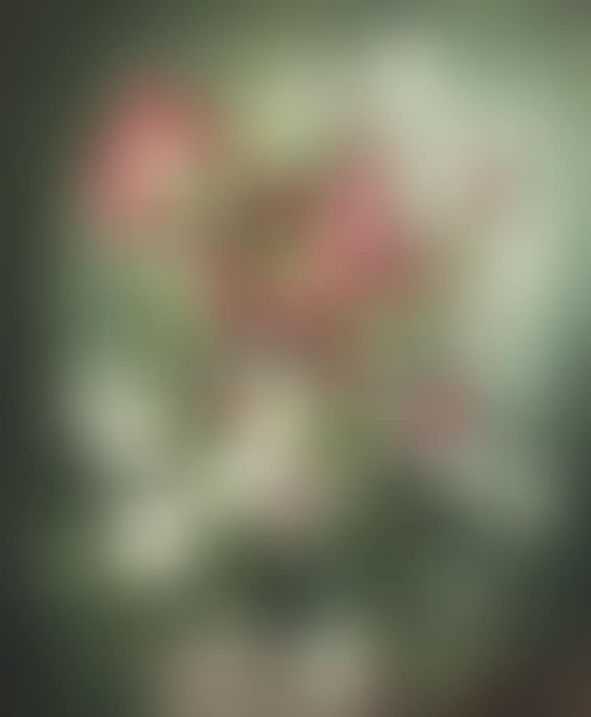 Red and White (preview)