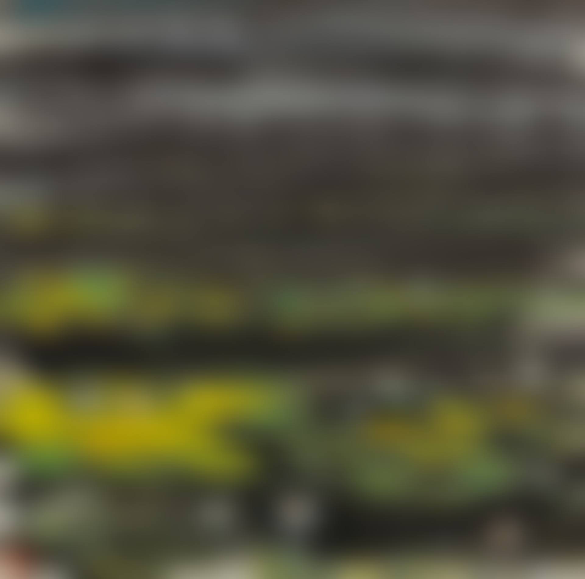 LOTUS POND (preview)