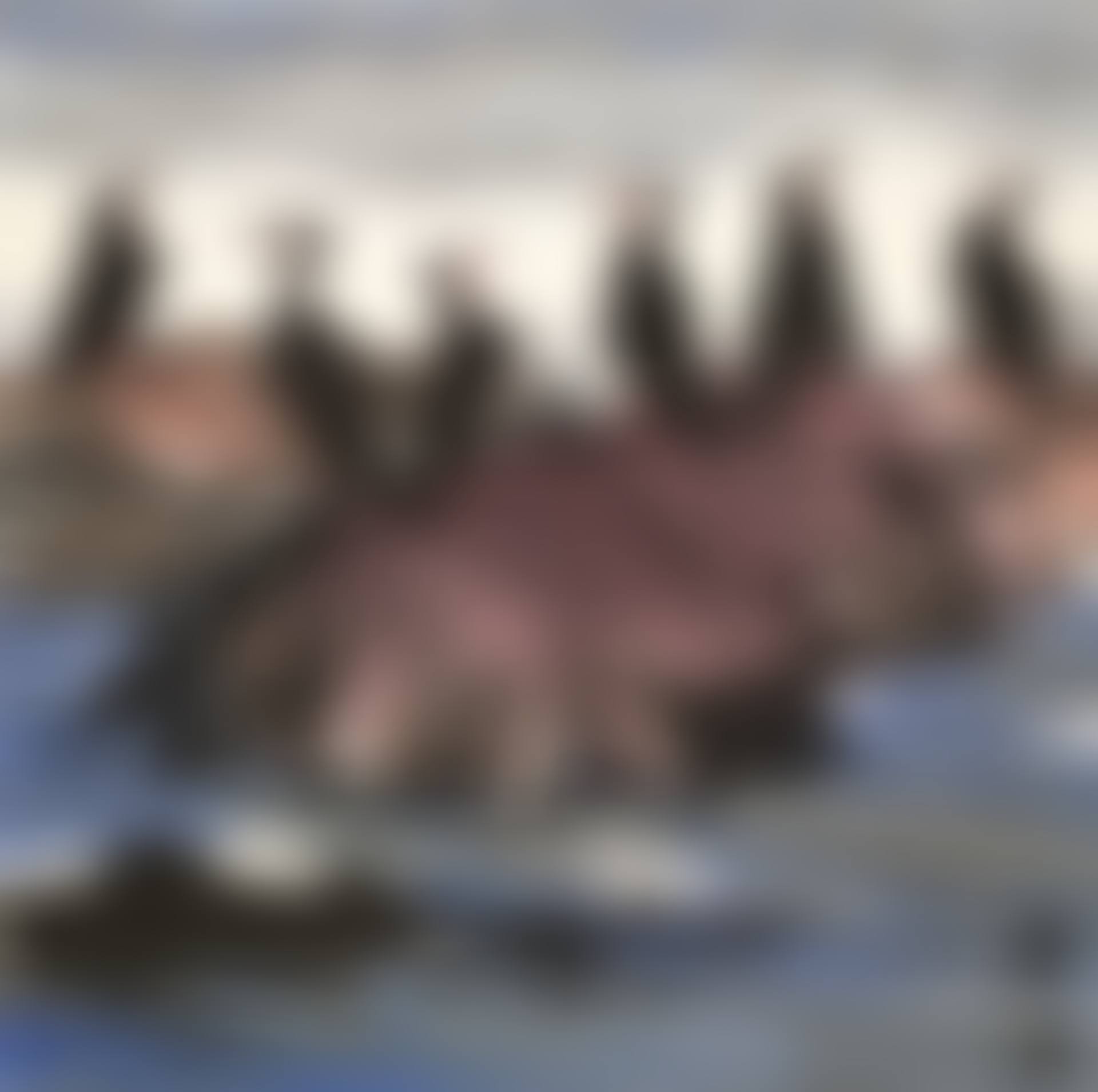 PERCHING ON THE ROCKS (preview)