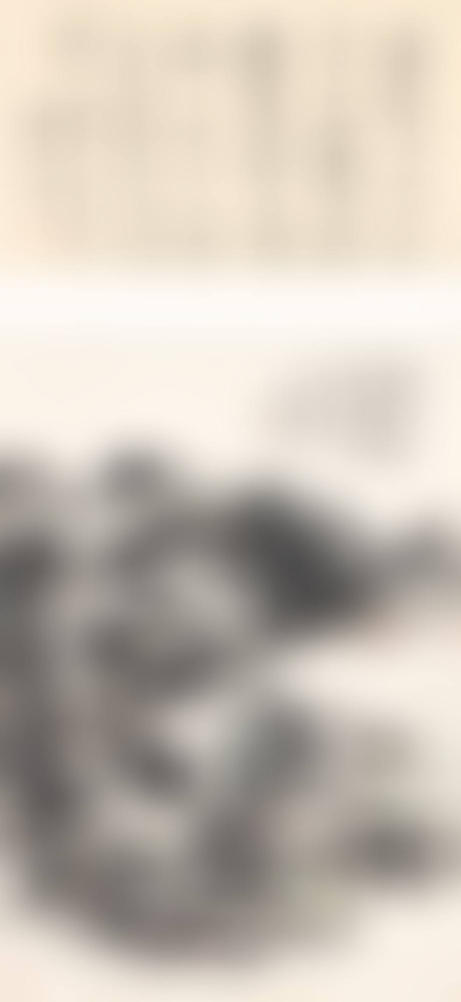 MOUNTAINS IN THE MORNING MIST (preview)