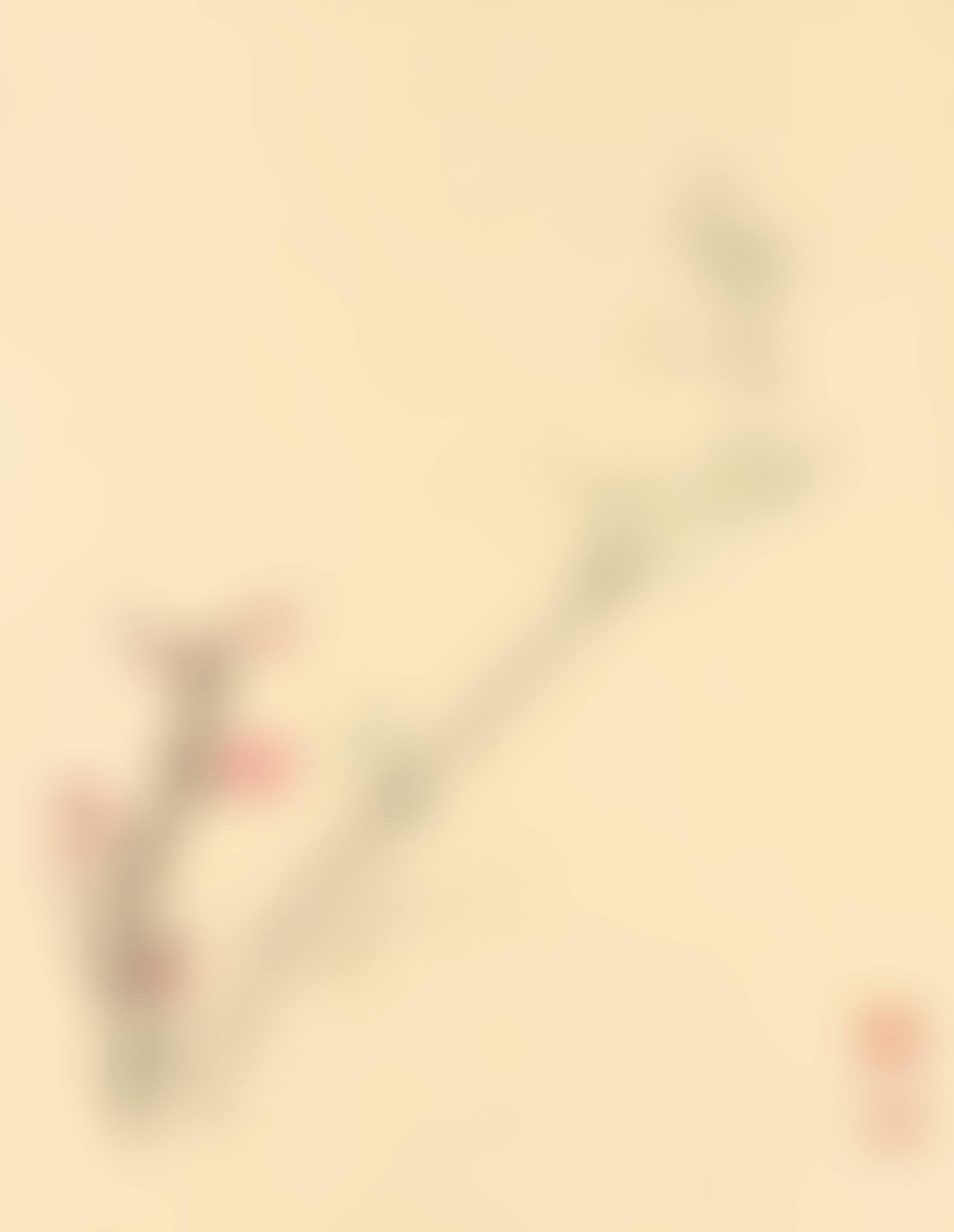 PLUM BLOSSOMS (preview)