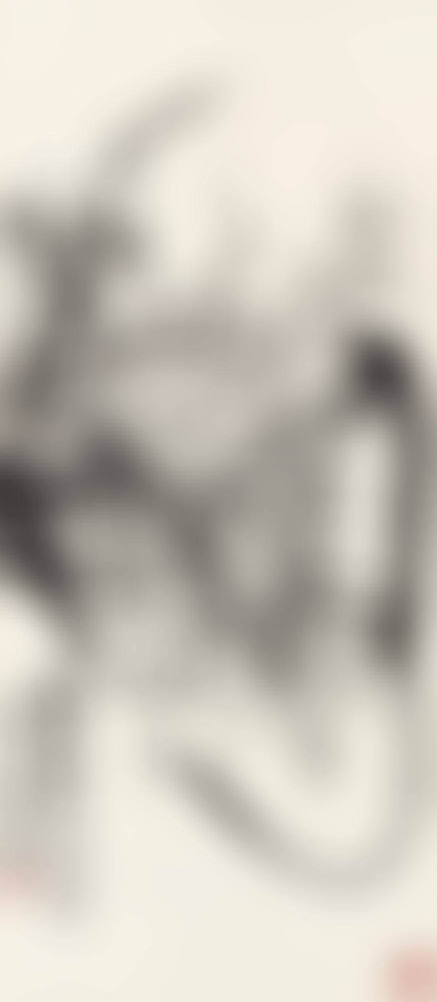 ORCHID AND BAMBOO (preview)