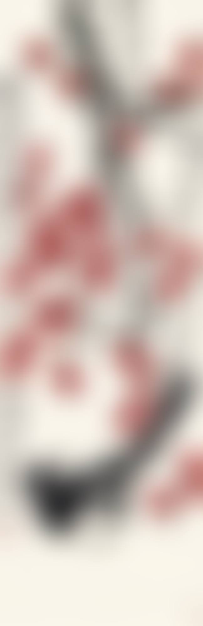 MAGPIE BY PLUM BLOSSOMS (preview)