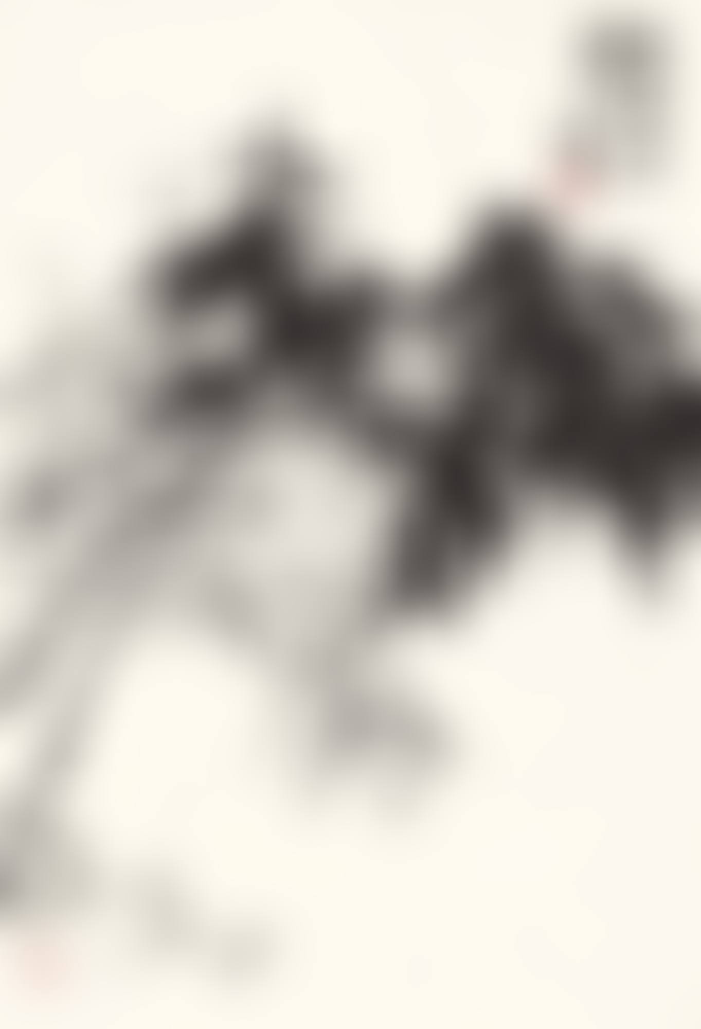 BAMBOO AND ROCK (preview)