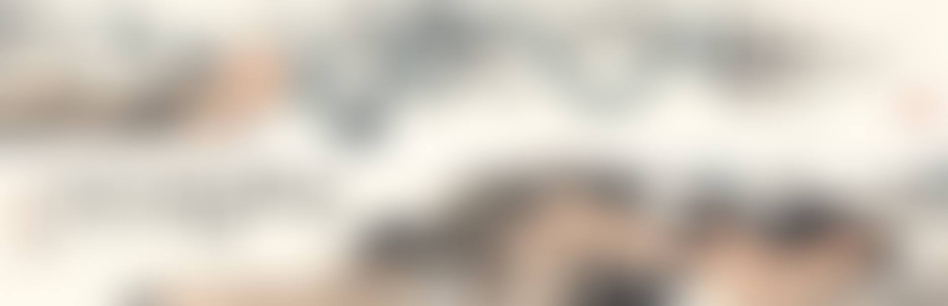 PLUM BLOSSOMS AND ROCK (preview)