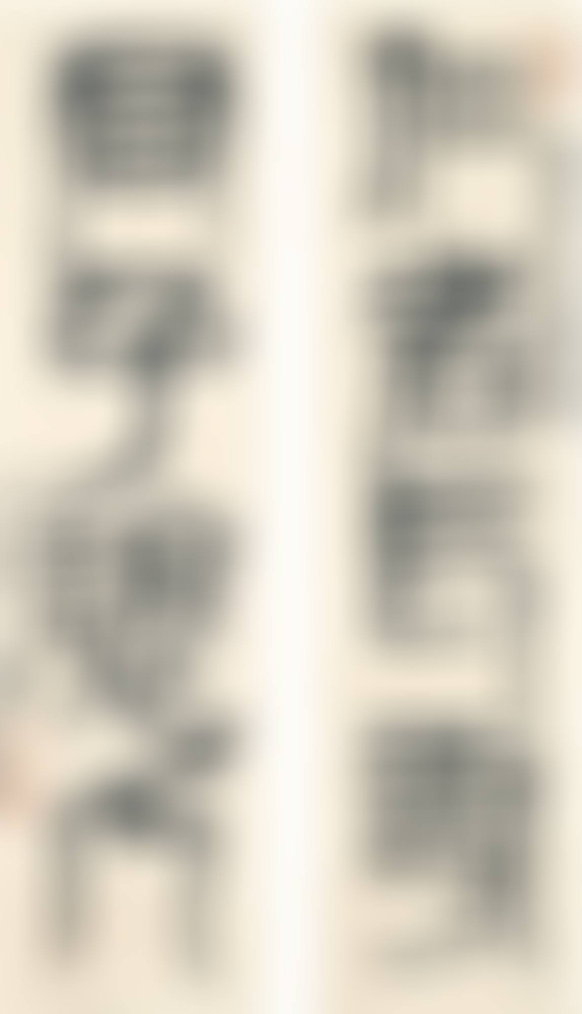CALLIGRAPHY COUPLET IN ZHUANSHU (preview)