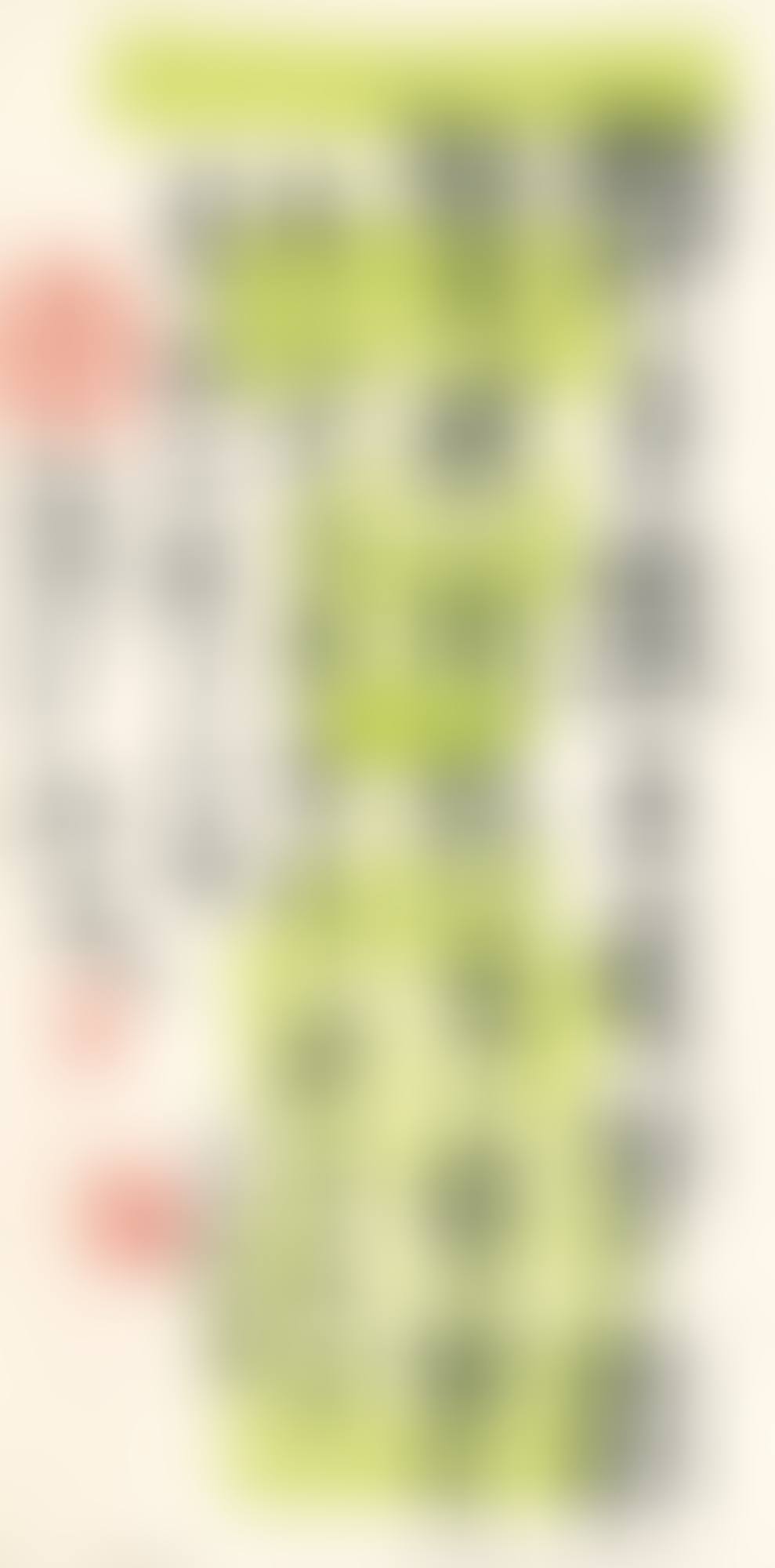 ALBUM OF CALLIGRAPHY COUPLETS IN JINWEN (preview)