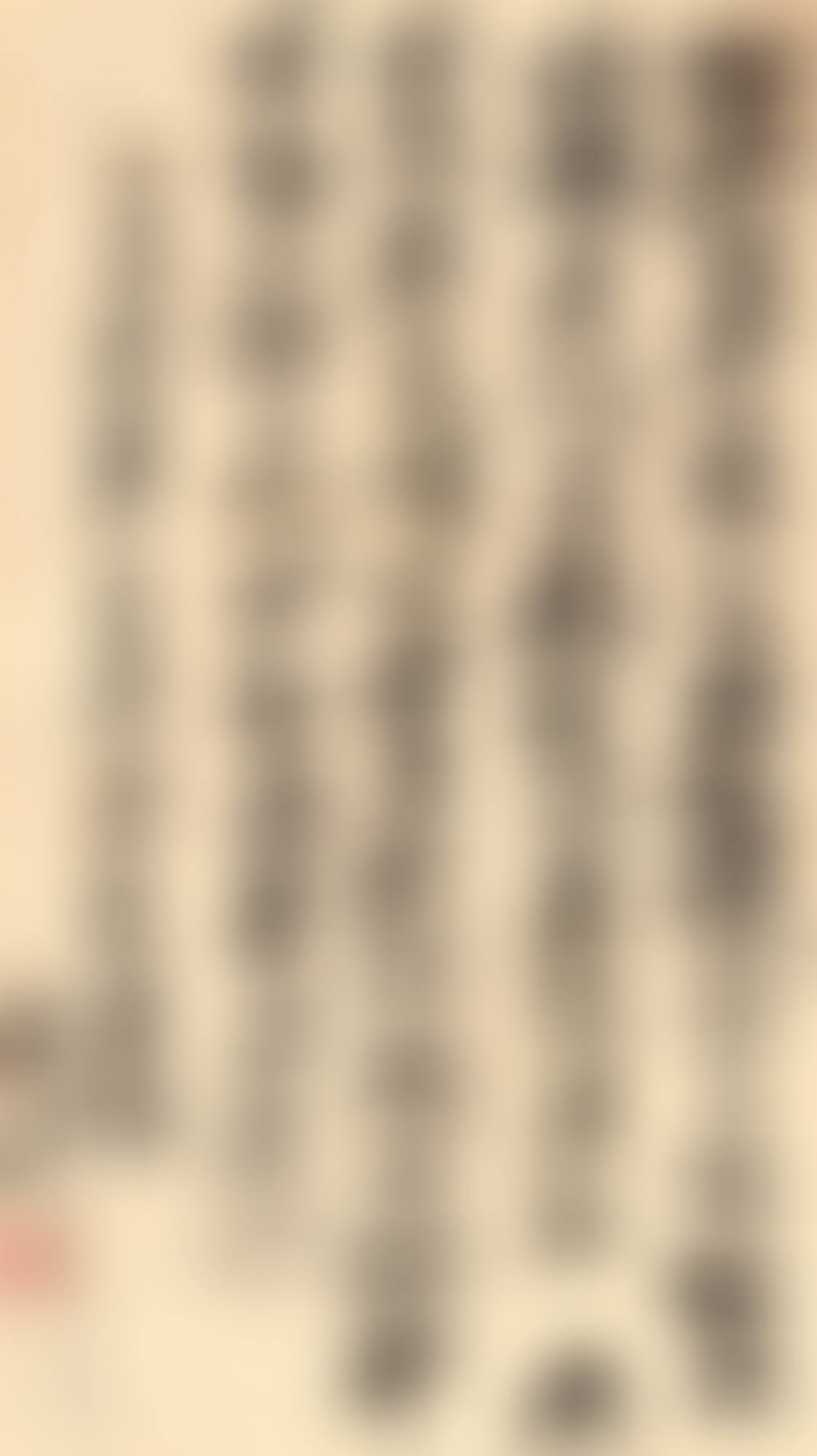 POEM DRAFTS IN XINGSHU (preview)