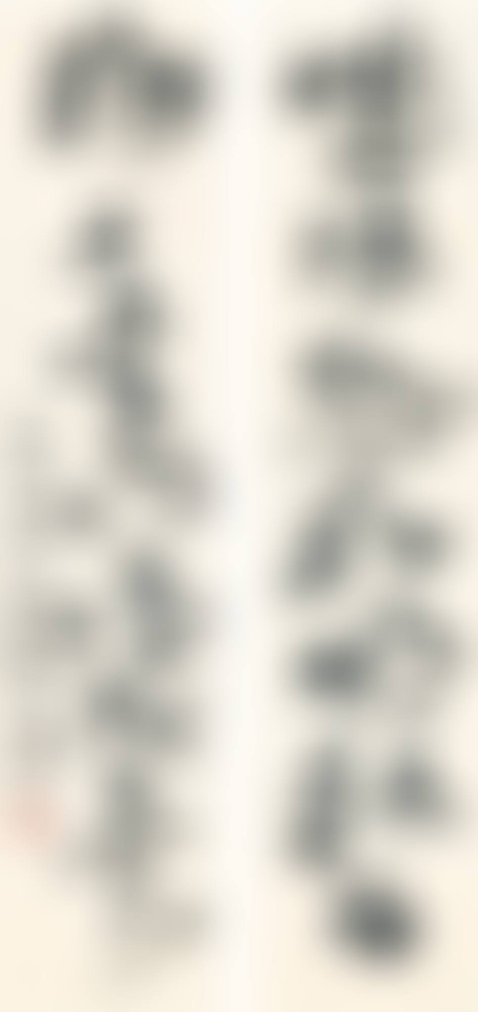 CALLIGRAPHY COUPLET IN CAOSHU (preview)
