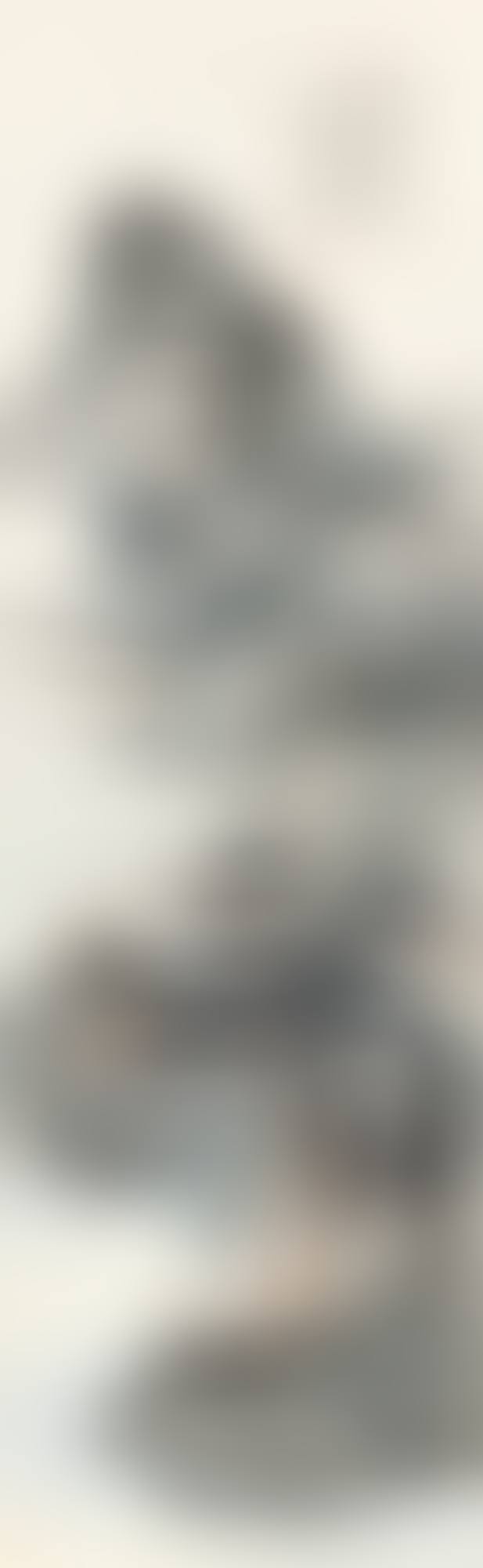 LANDSCAPE AFTER JU RAN (preview)