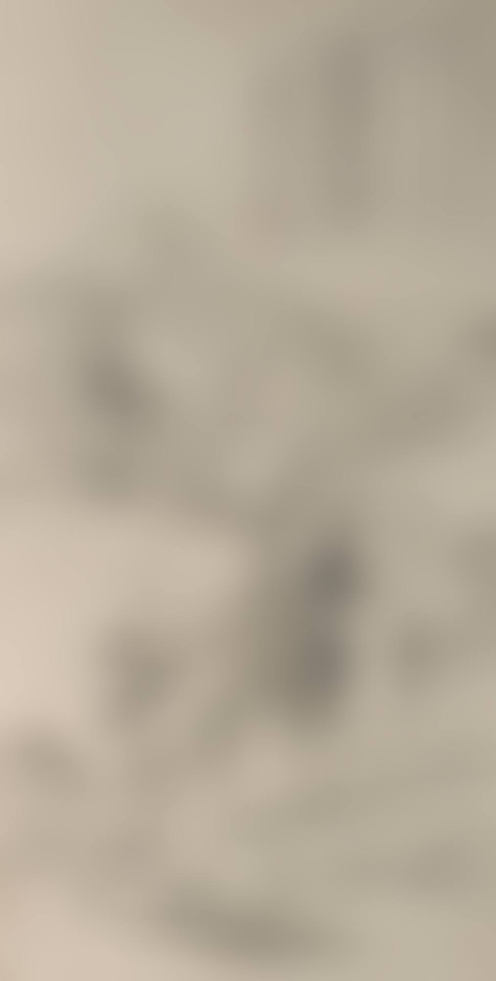 LANDSCAPE AFTER NI ZAN (preview)