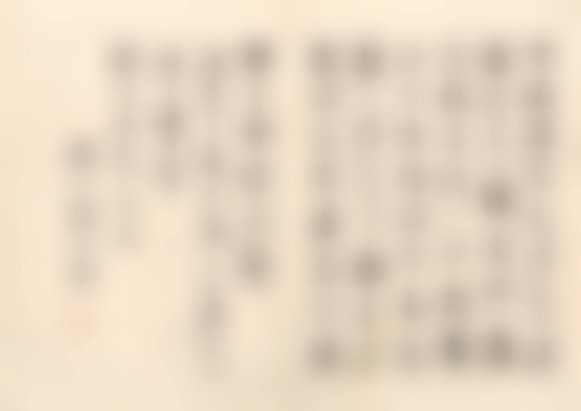 LETTER (preview)