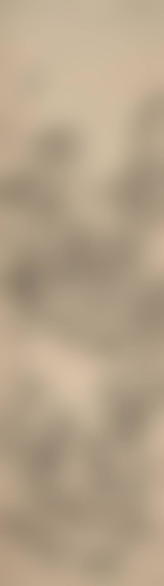 LANDSCAPE AFTER CAO ZHIBAI (preview)