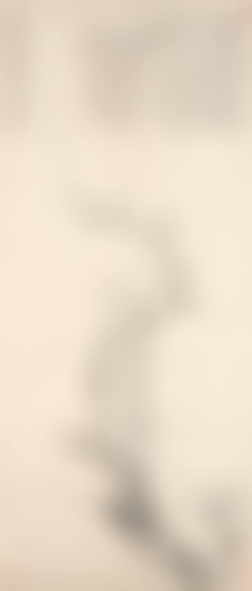 INK PLUM BLOSSOM (preview)