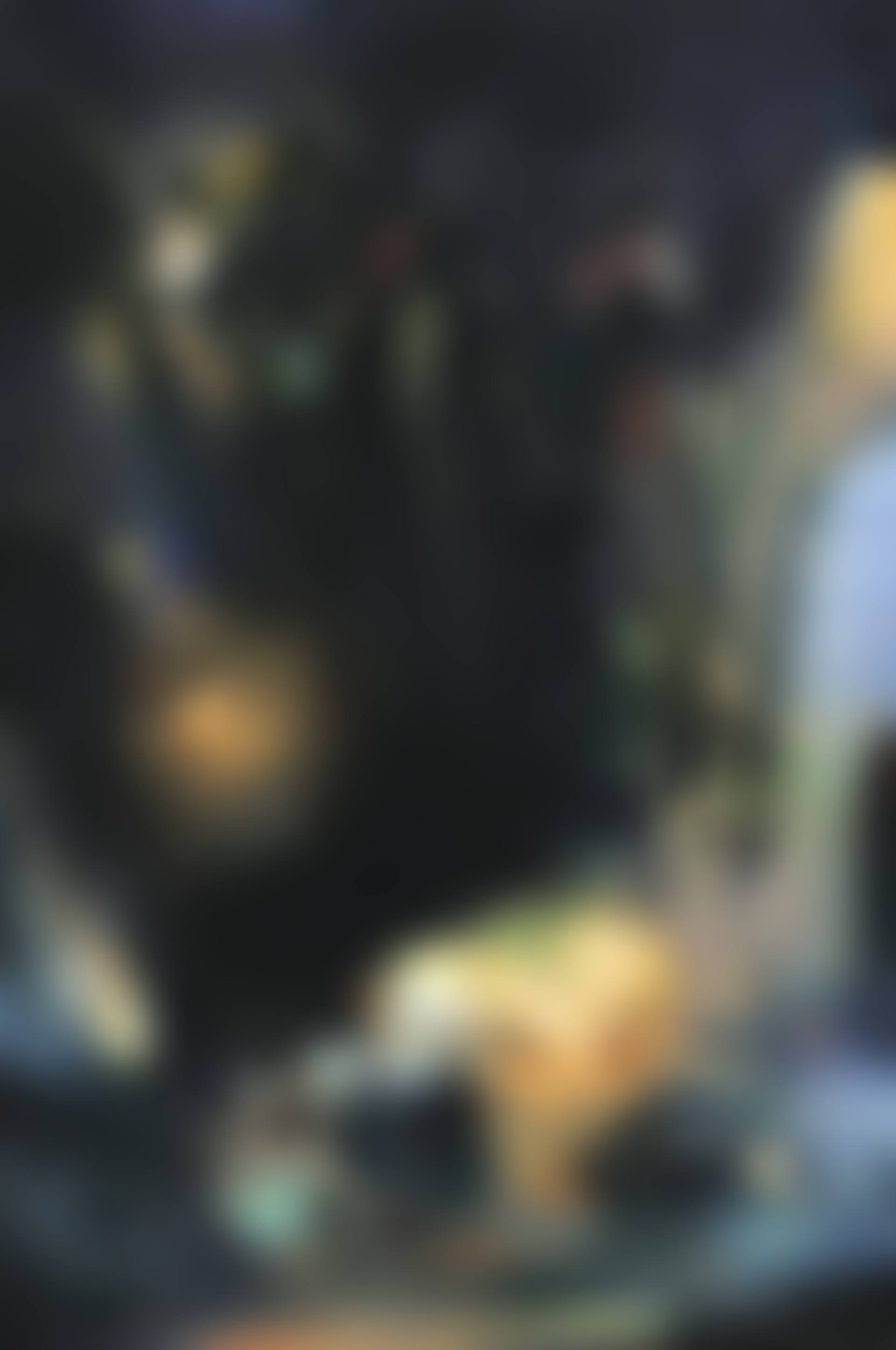 AUX SOURCES DE LA NUIT (preview)