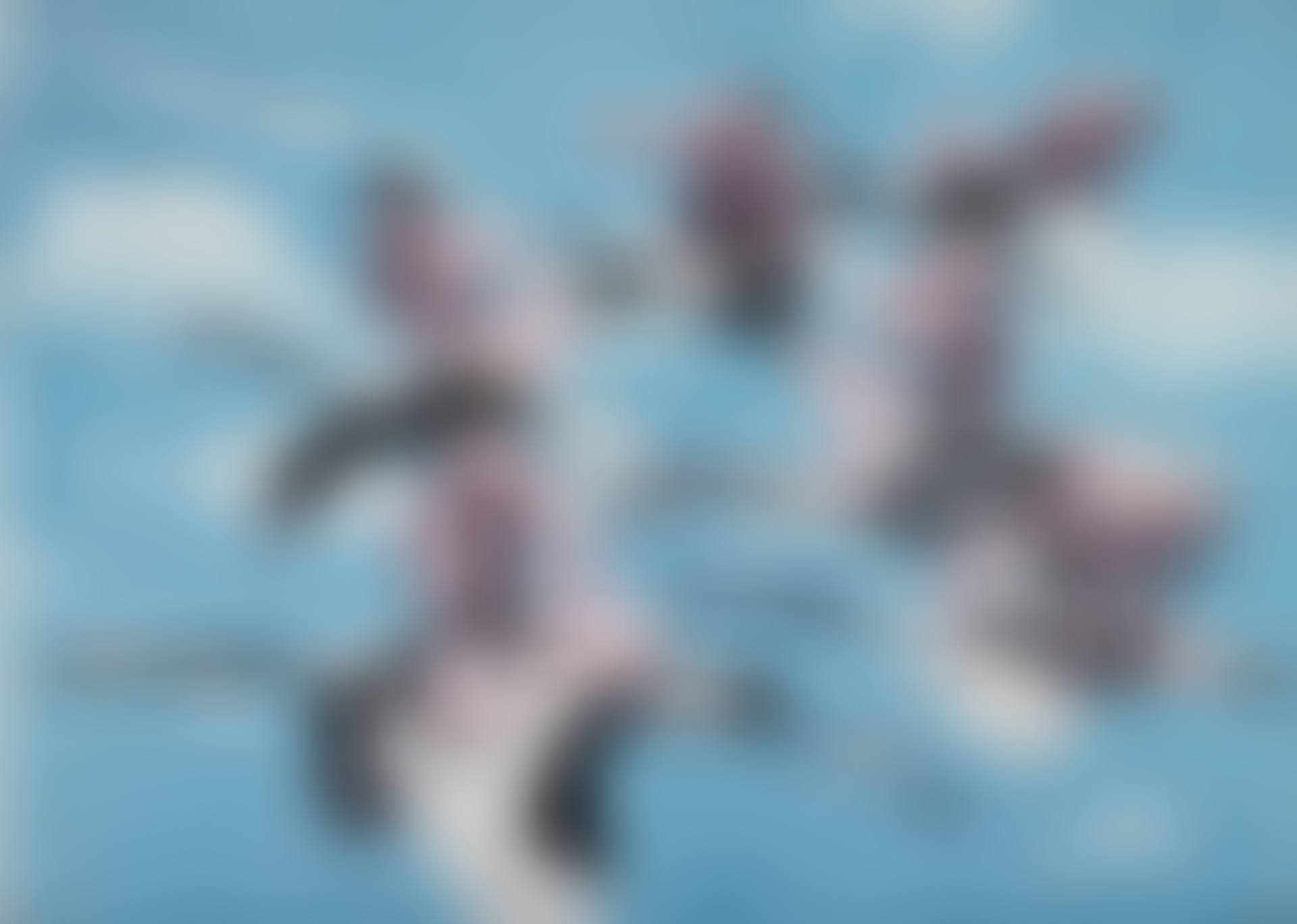 IMMORTAL CRANES (preview)