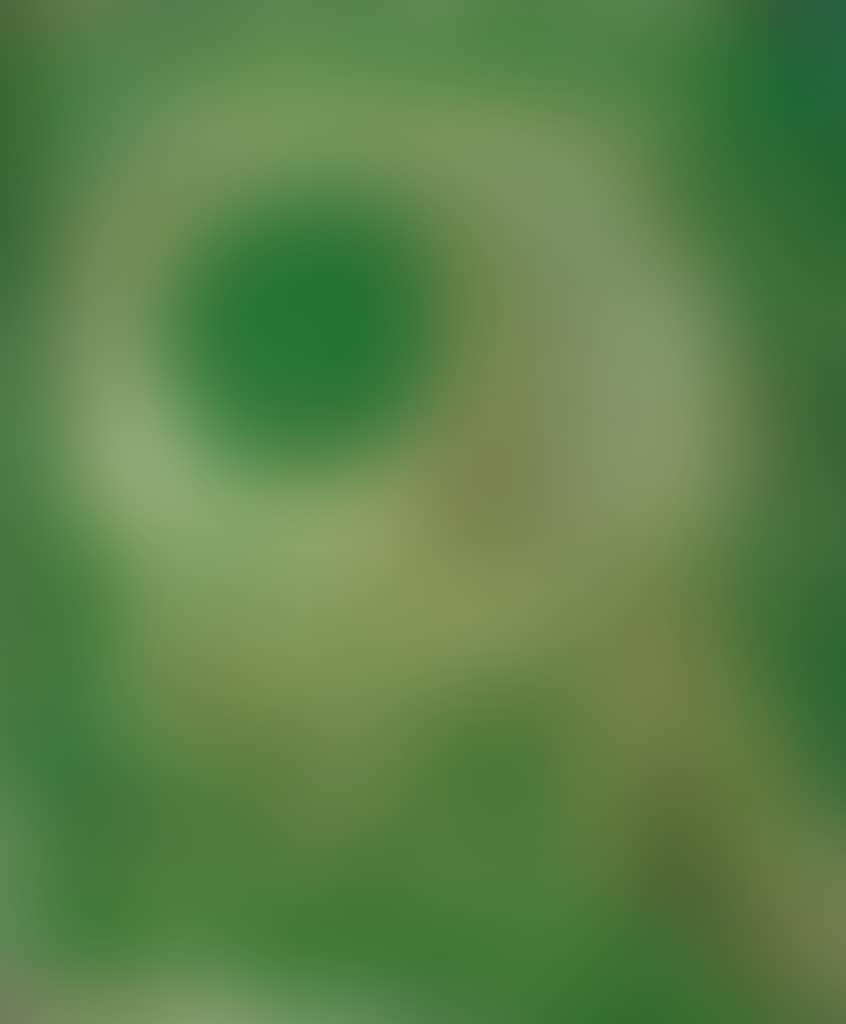 09/11/49 (preview)
