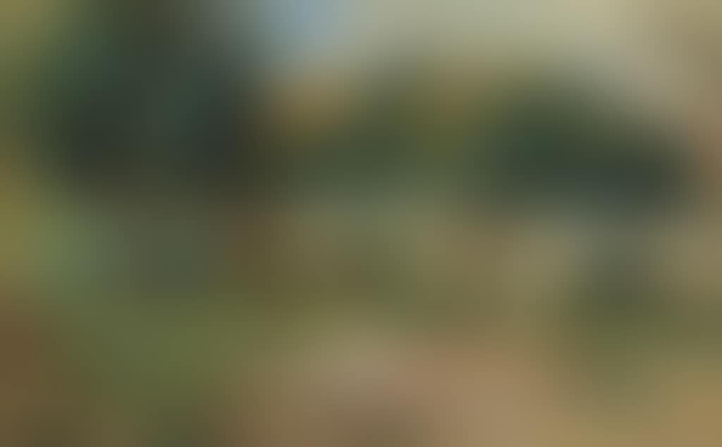 Paysage (preview)