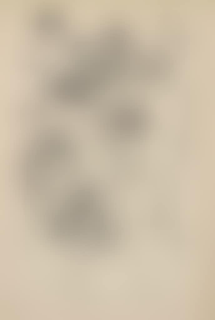 Ohne Titel (preview)
