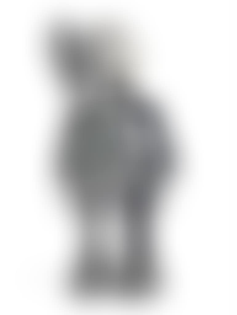 Dissected Companion (Grey) (preview)