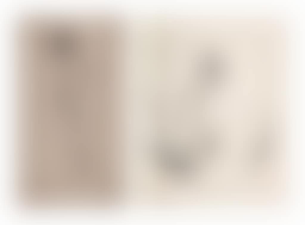 i. Nu de face
ii. Étude de nu (preview)