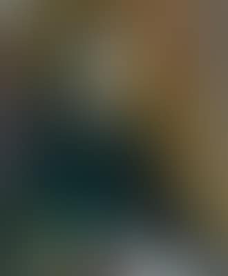 Portrait of a woman with a green jacket (preview)