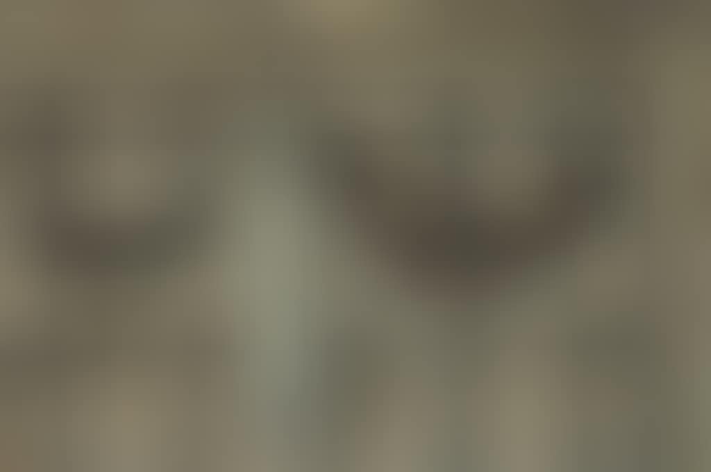 Papillons et bouteille (preview)