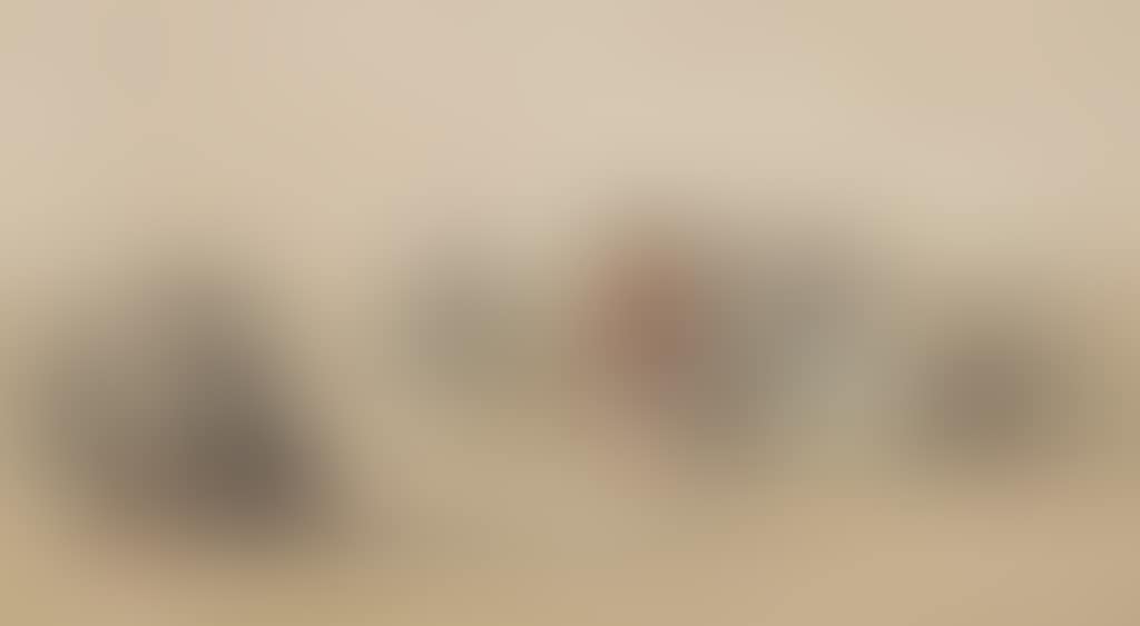 Crinolines sur la plage (preview)