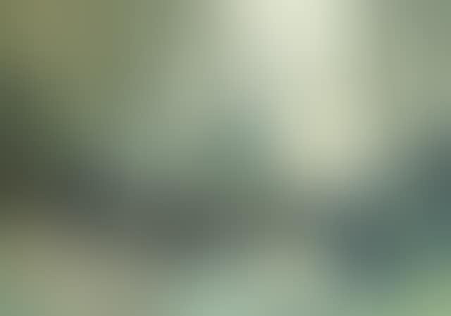 The green pool (preview)