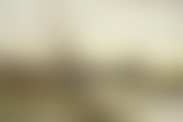 River landscape (preview)