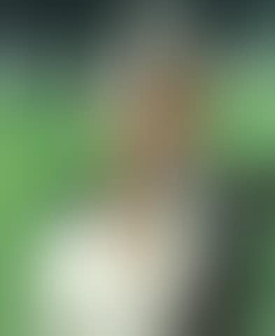 Au derby (preview)
