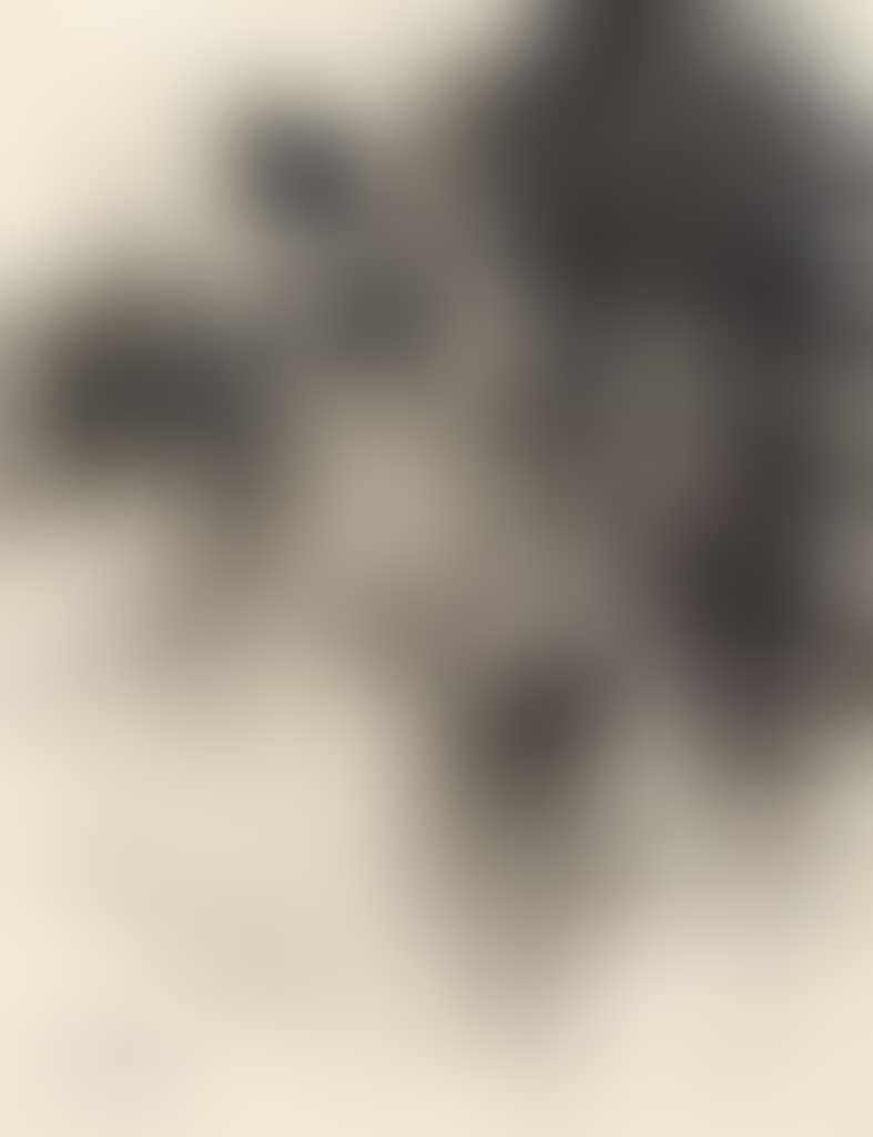 Abstract (preview)