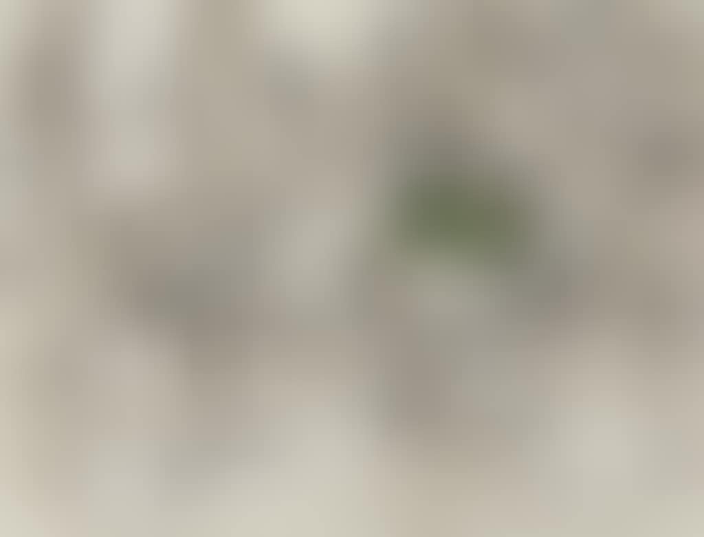 Nature morte aux pommes vertes (preview)