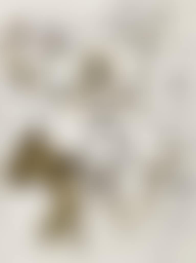 L'écuyère (preview)